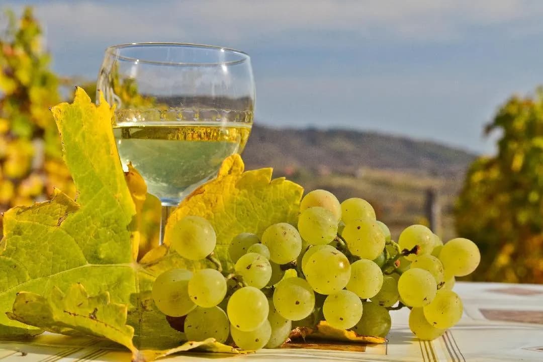 Ranking najlepszych win węgierskich, które musisz spróbować