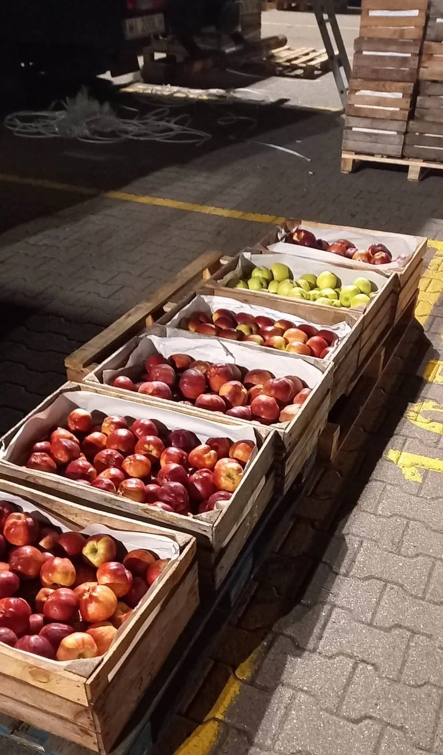 Aktualne ceny jabłek na skupie – ile możesz zarobić i co wpływa na ich wartość?