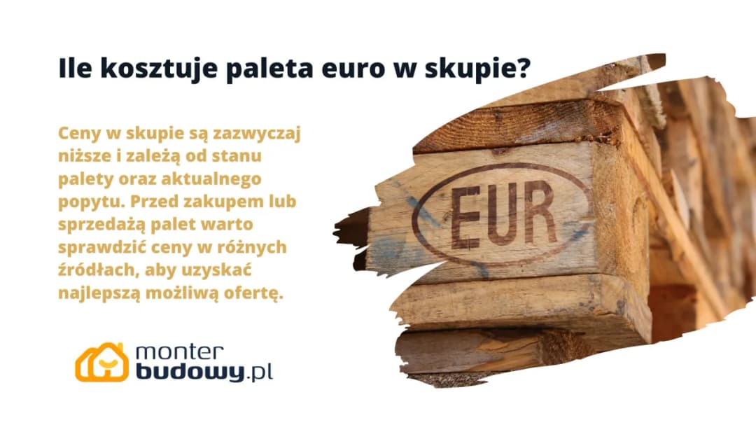 Ile kosztuje euro w skupie? Sprawdź, gdzie sprzedać euro najkorzystniej!