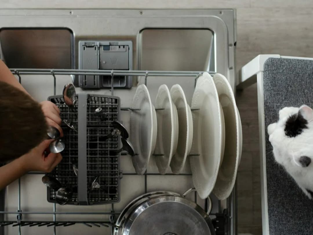 Jaką zmywarkę wolnostojącą wybrać, aby uniknąć rozczarowania?